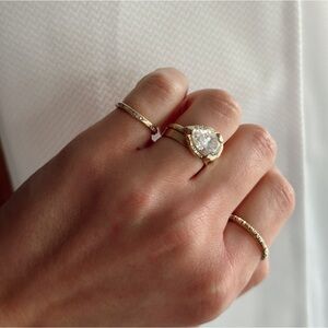 Logan Hollowell band